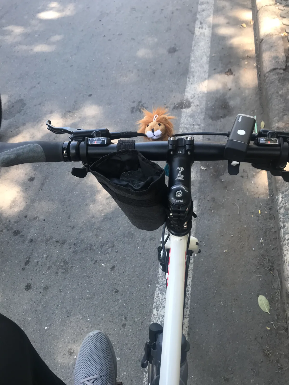 Chiếc xe đạp + em Sư Tử